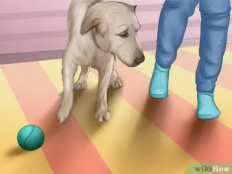 Image titled Teach Your Dog "On By" Step 4